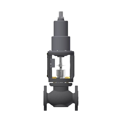 Globe Valves Enhanced Performance